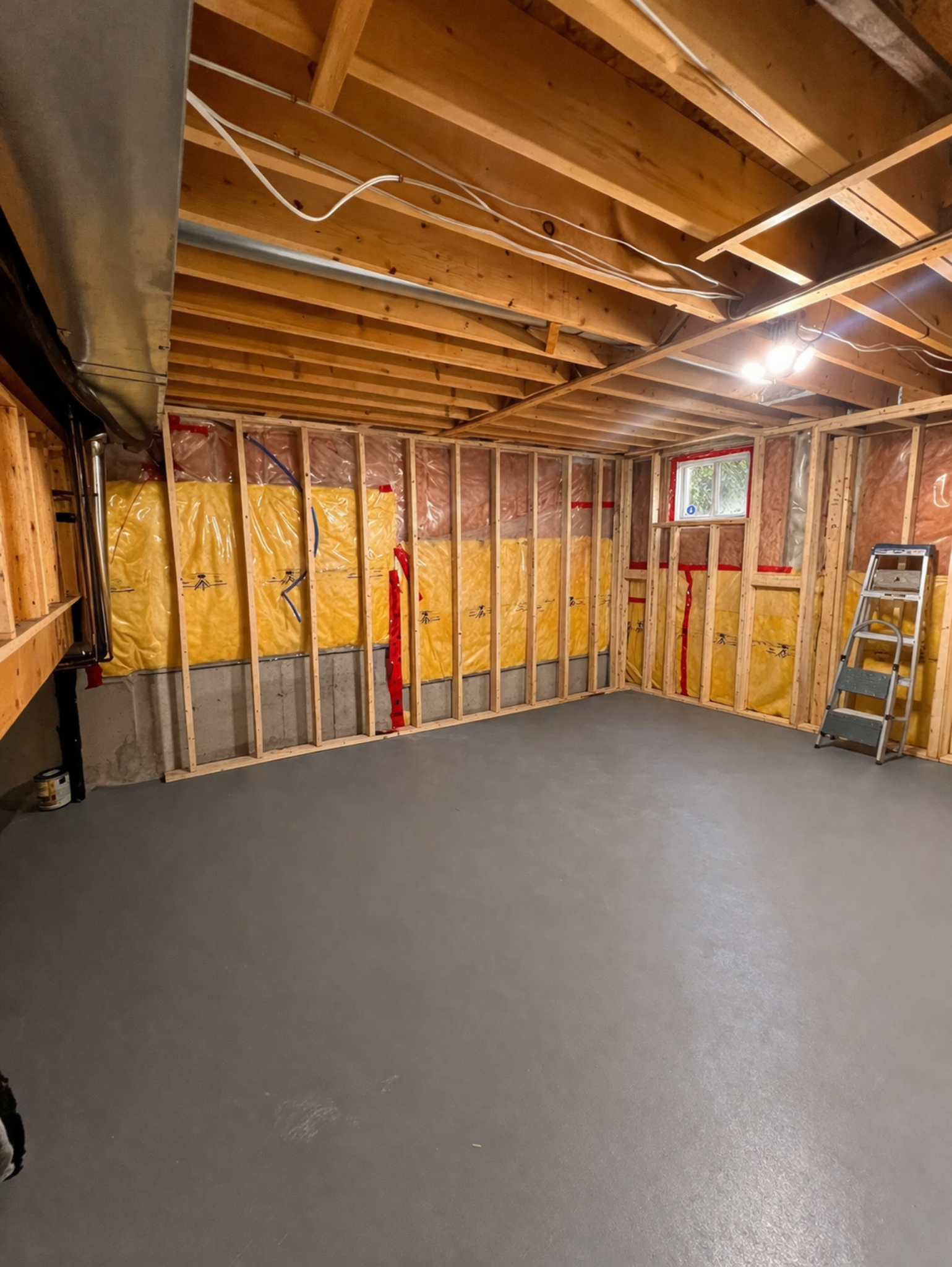 Unfinished basement before renovation